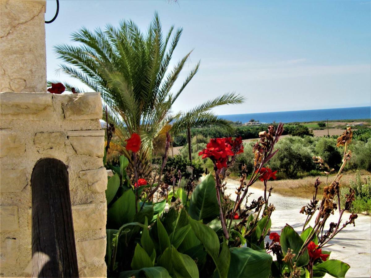 Villa Dioni Coral Bay Exterior foto